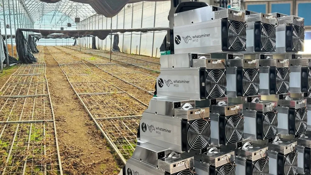 rolnictwo-spotyka-sie-z-bitcoinem-electricity-mining-od-infinity-hash